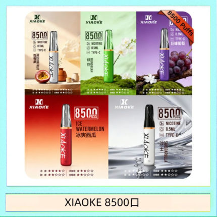 梟客XIAOKE一次性電子菸拋棄式8500口